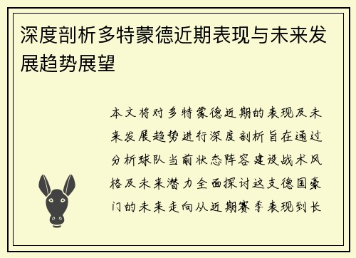 深度剖析多特蒙德近期表现与未来发展趋势展望