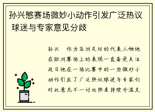 孙兴慜赛场微妙小动作引发广泛热议 球迷与专家意见分歧